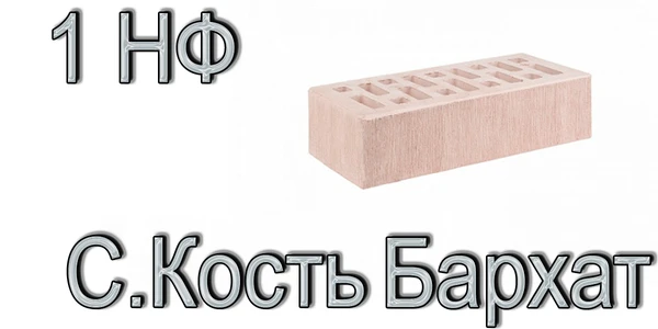 Фото Кирпич Е1 КР-л-пу 1НФ ГОСТ Сл. Кость Бархат М175