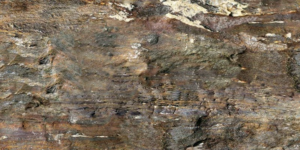 Фото Пробка напольная Corkstyle Fantazy Stone Fossil 915х305х11мм 33 класс