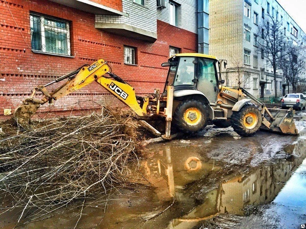 Фото Карчевка пней